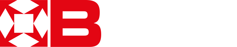 Logo Bürder Logistics